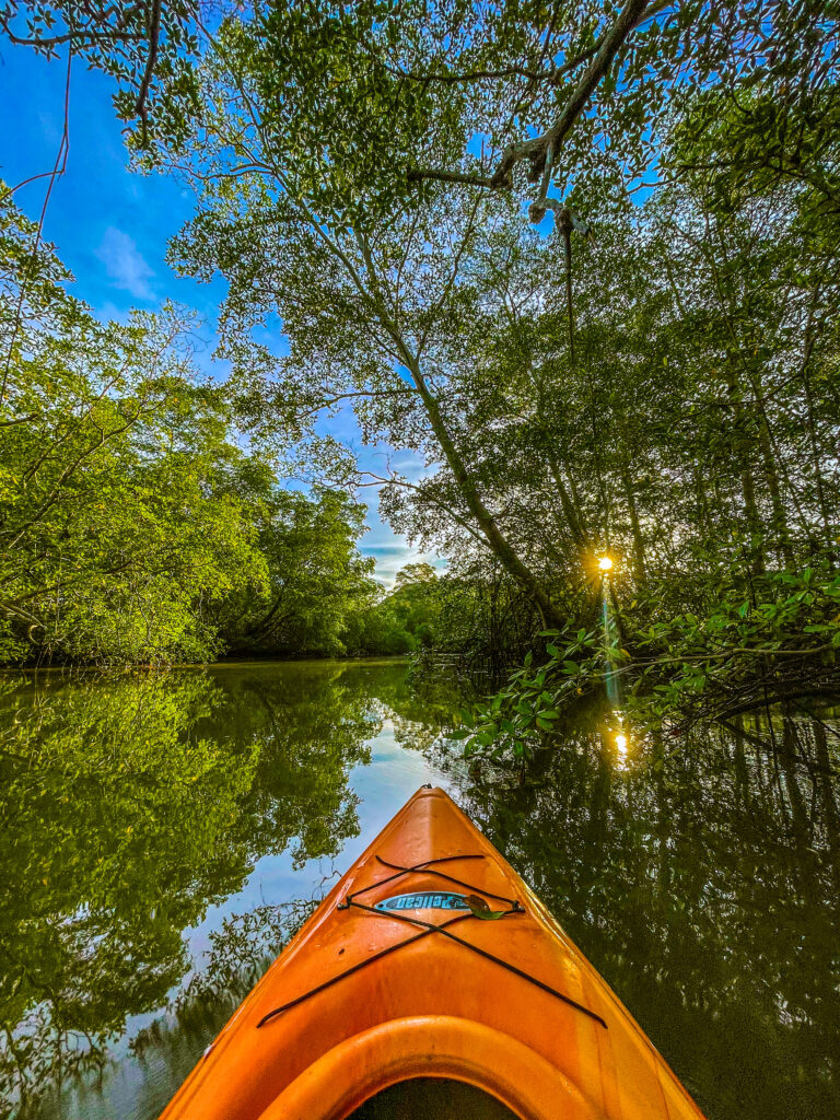 THINGS TO DO IN DAVID, PANAMA - Bongo Outdoors Tours