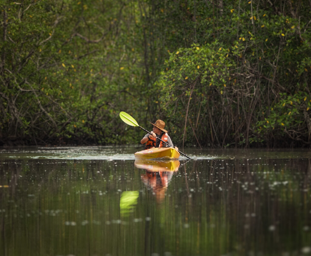 kayak en chiriqui