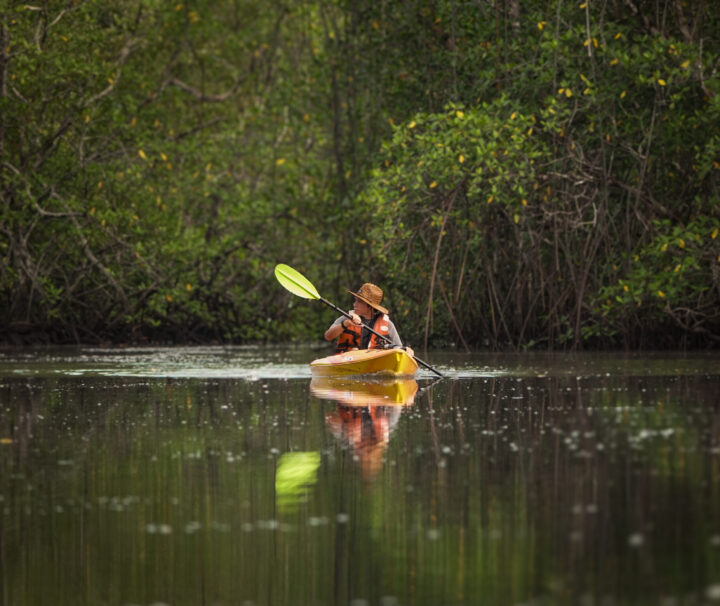 kayak en chiriqui