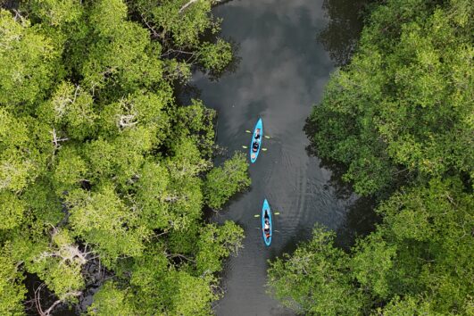 Tour de Kayak en Chiriquí, Panamá | Inolvidable