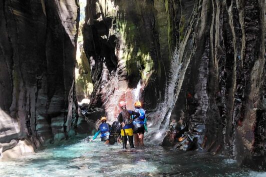 Macho de Monte Tour | Increíble